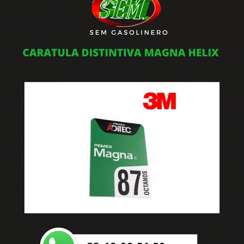 CARATULA MAGNA WAYNE HELIX